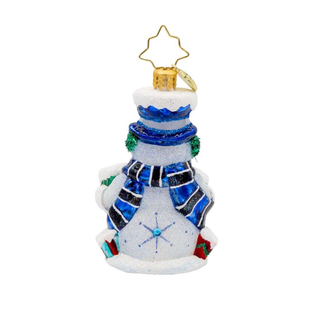 Christopher Radko Snow Gifts Like These Gifts 2025 Gem Ornament